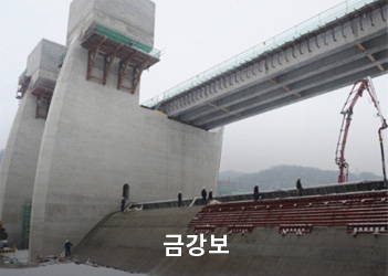 금강보